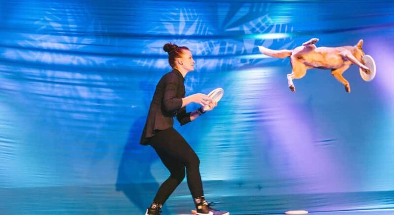 Branson: Pets and Giggles Kid's Comedy Show - The Practical Side: Value, Accessibility, and Tips