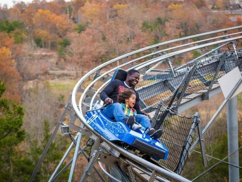Branson: Thrilling Mountain Coaster Ride - What Is the Branson Mountain Coaster?