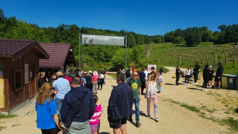 Braov: 3-Day Highlights of Transylvania Private Tour - Frequently Asked Questions