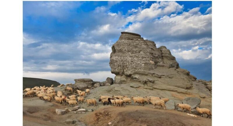 Braov: Carpathian Mountains Guided Hike with Pickup - Exploring Romanias Wild Mountains: What to Expect