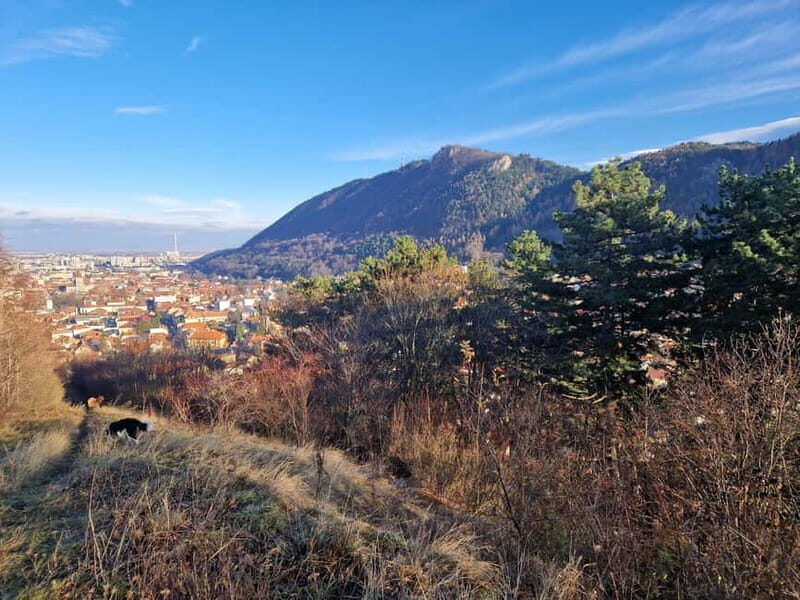 Braovs Secret Tastes & Stories - Exploring Braov’s Secret Tastes & Stories: An Authentic Journey through Transylvania’s Heart