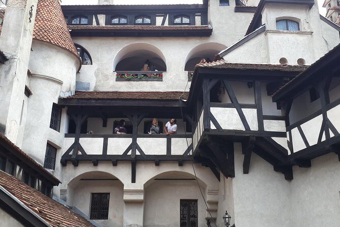 Brasov: Bear Sanctuary, Bran Castle & Rasnov Fortress GUIDED Tour - Final thoughts