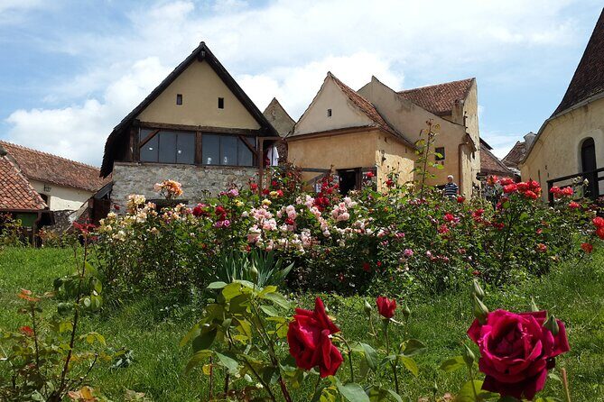 Brasov: Bears Sanctuary, Rasnov Fortress, Bran Castle GUIDED Tour - FAQ