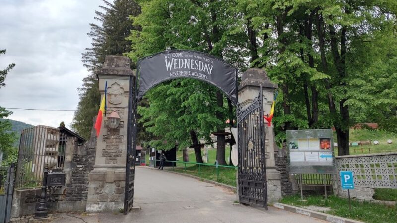 Brasov: Bran, Peles and Cantacuzino Castles Day Tour - Brasov: Bran, Peles and Cantacuzino Castles Day Tour Review