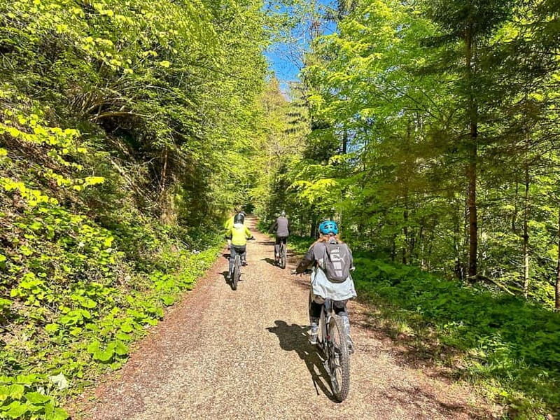 Brasov: eBike Tour to Poiana Brasov (Old Town & Forest) - Key Points