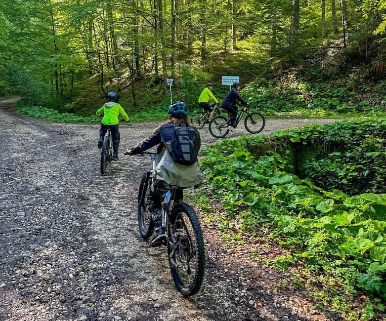 Brasov: eBike Tour to Poiana Brasov (Old Town & Forest) - The Itinerary in Detail