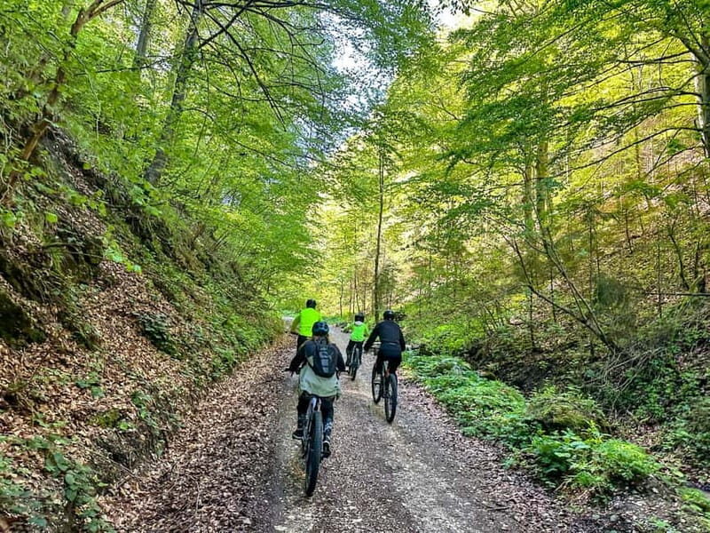 Brasov: eBike Tour to Poiana Brasov (Old Town & Forest) - Practical Details and Pricing