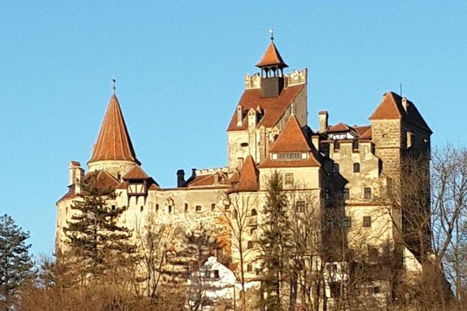 Brasov: Peles Castle, Bran Castles and Rasnov Fortress Day Tour - An In-Depth Look at the Tour Experience