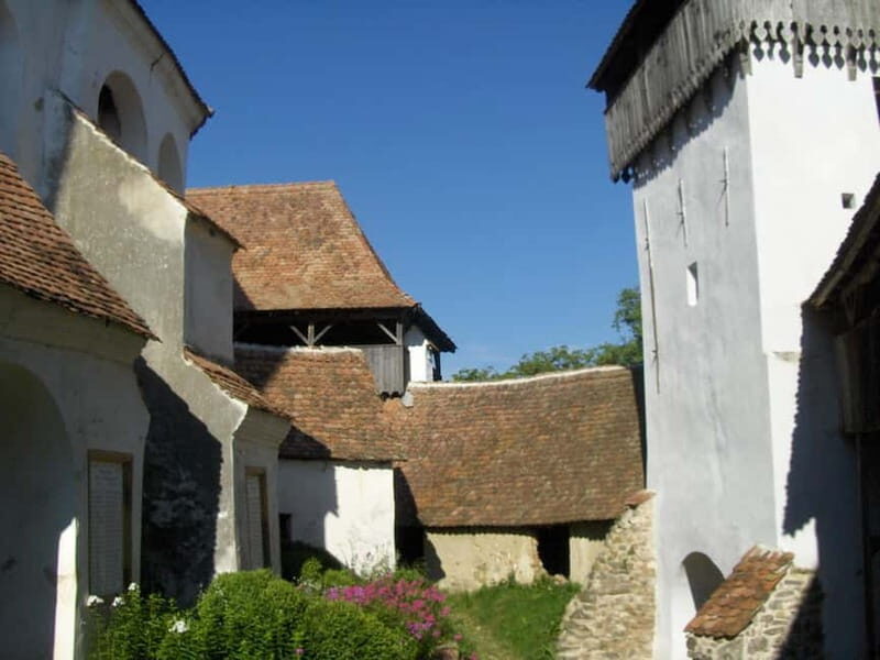 Brasov: Saxon Fortified Churches Day Tour with Guide - The Itinerary and What You’ll Experience