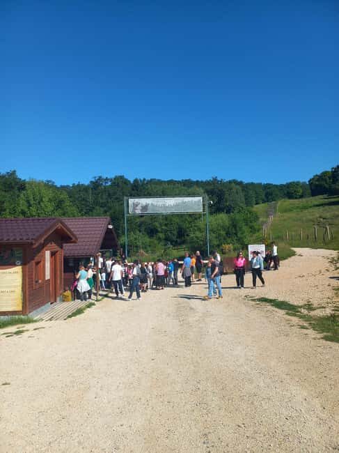 Brasov: Tour with Transfer Libearty Bear Sanctuary - Who Will Love This Tour?
