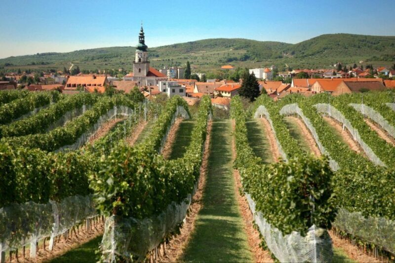 Bratislava: 6,5-Hour Carpathian Wine Tour and Tasting - Practical Details and Considerations