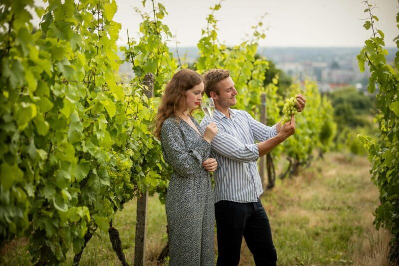 Bratislava Card with Public Transport Option & Walking Tour - Final Thoughts