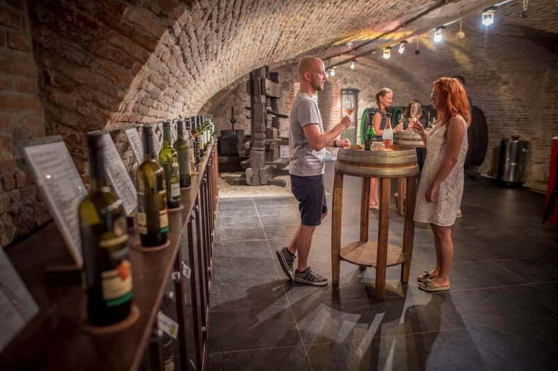 Bratislava: Wine Tasting with Sommelier - A Deep Dive into the Slovak Wine Tasting Experience