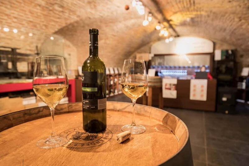 Bratislava: Wine Tasting with Sommelier - The Sum Up