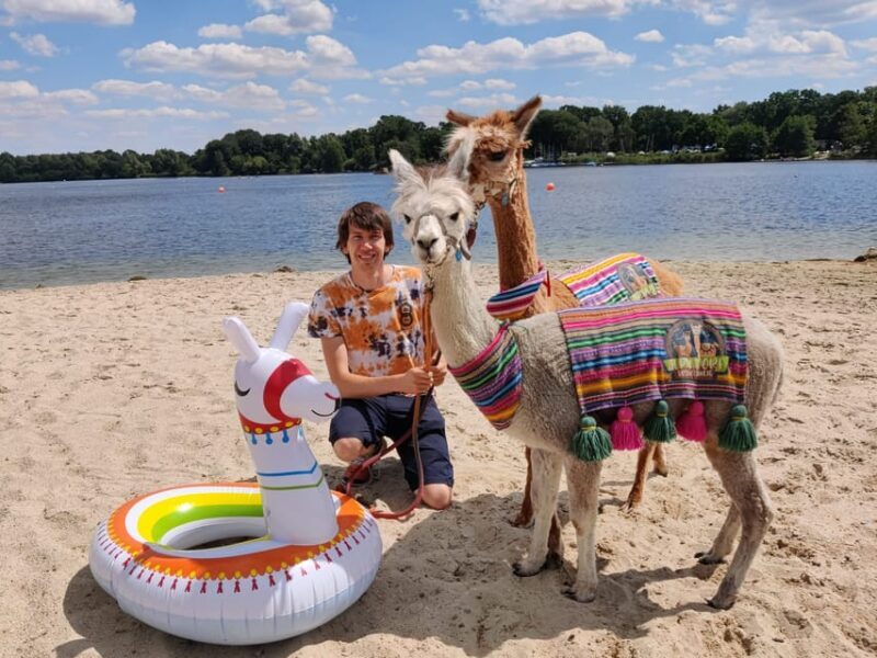 Braunschweig: Alpaca Trekking Tour - The Sum Up