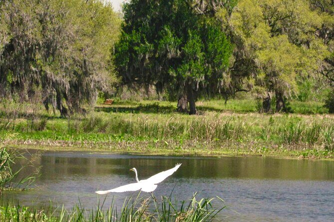 Brazos Bend Wildlife and Nature Tour - The Sum Up: Is It Worth It?