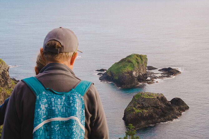 Breakfast Bushwalk & Clifftop BBQ Tour - The Experience at a Glance