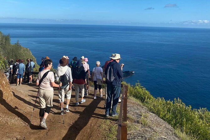 Breakfast Bushwalk & Clifftop BBQ Tour - Who should consider this tour?