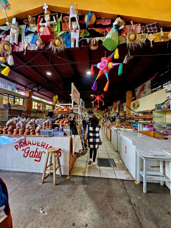 Breakfast in Tlacolula; Ancestral and industrial mezcal distillery - Practical details and traveler tips