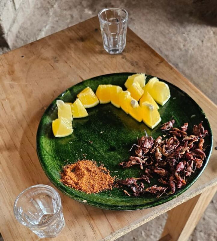 Breakfast in Tlacolula; Ancestral and industrial mezcal distillery - How this tour compares to similar offerings