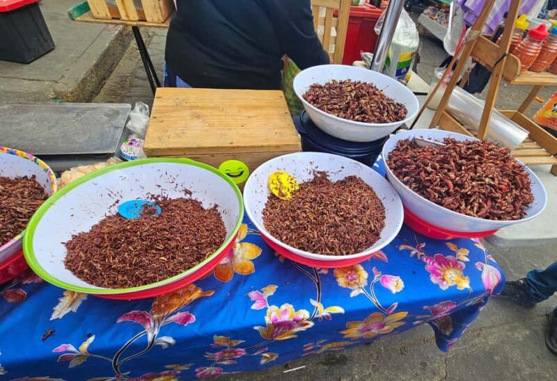 Breakfast in Tlacolula; Ancestral and industrial mezcal distillery - FAQ