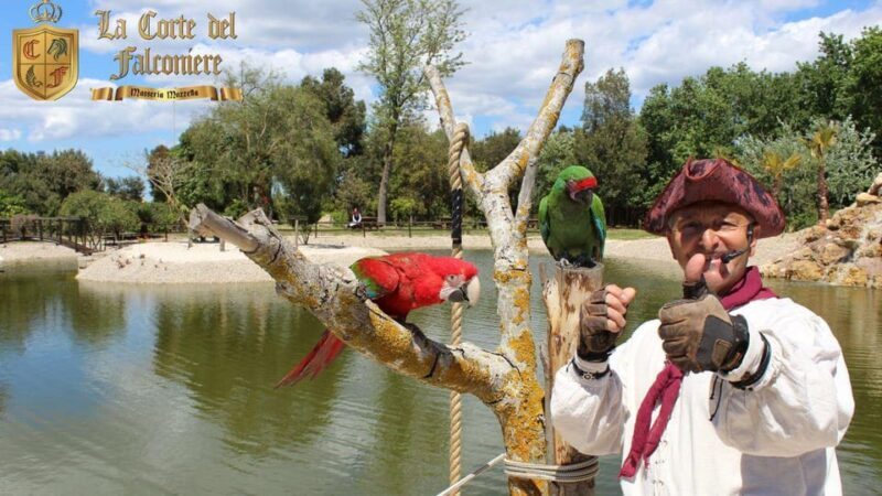 Breakfast with Parrots at Masseria mazzetta with wildlife park - Why This Tour Is a Great Choice