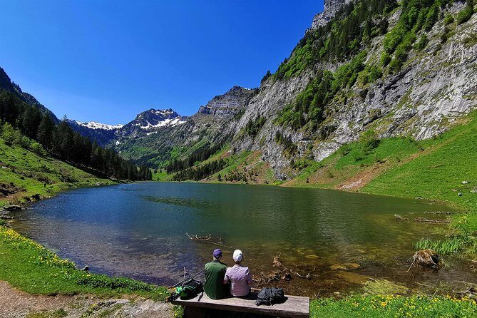 Breathtaking Private Hike with a Local Swiss Expert (1 day trip) - Who Will Love This Tour?