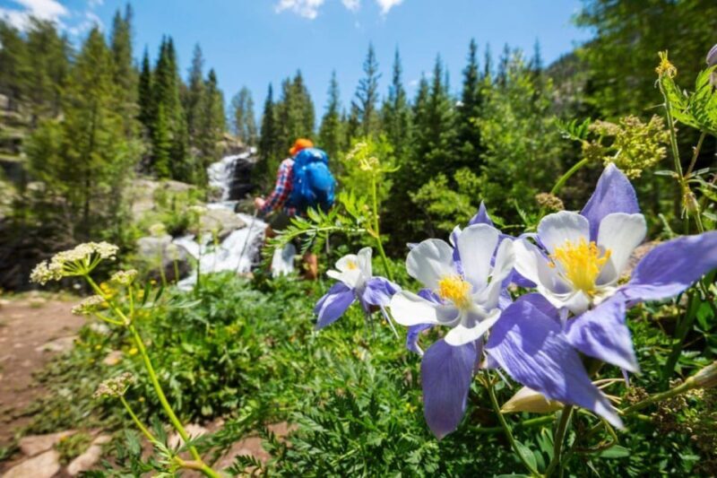 Breckenridge, CO: Half-Day Guided Scenic Hike - Why this tour is worth considering