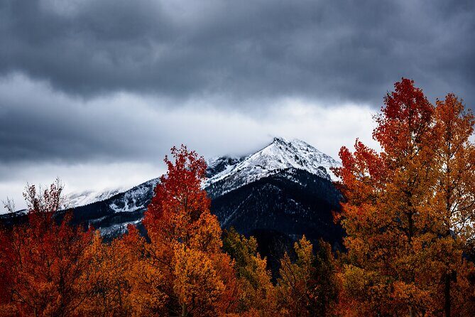 Breckenridge & Continental Divide - Private Tour - A Closer Look at the Experience
