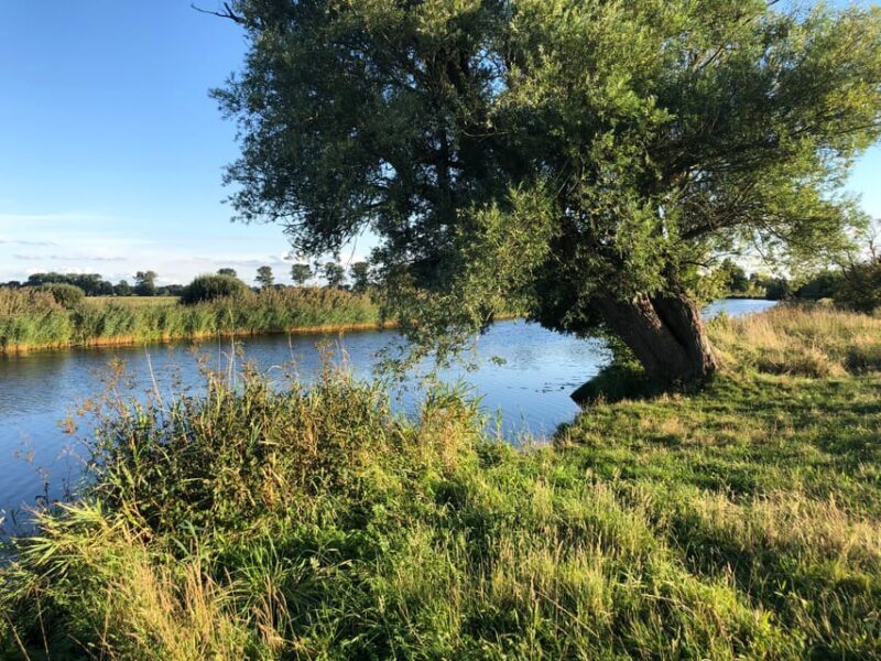 Bremen: Full-Day Kayak Rental on the Wümme River - Key Points