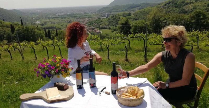 Brescia: day trip to Botticino with wine tasting at Noventa - The Itinerary and What You’ll Experience