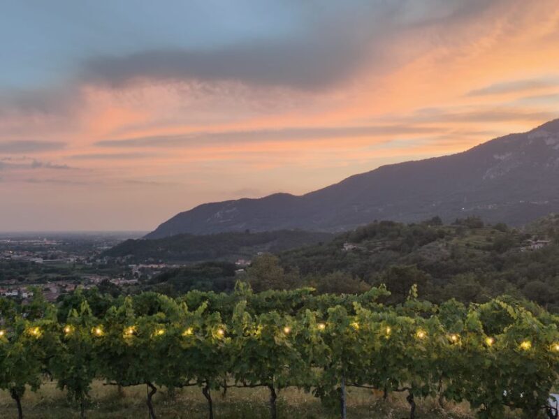 Brescia: day trip to Botticino with wine tasting at Noventa - Start at Tenuta Pozzetto