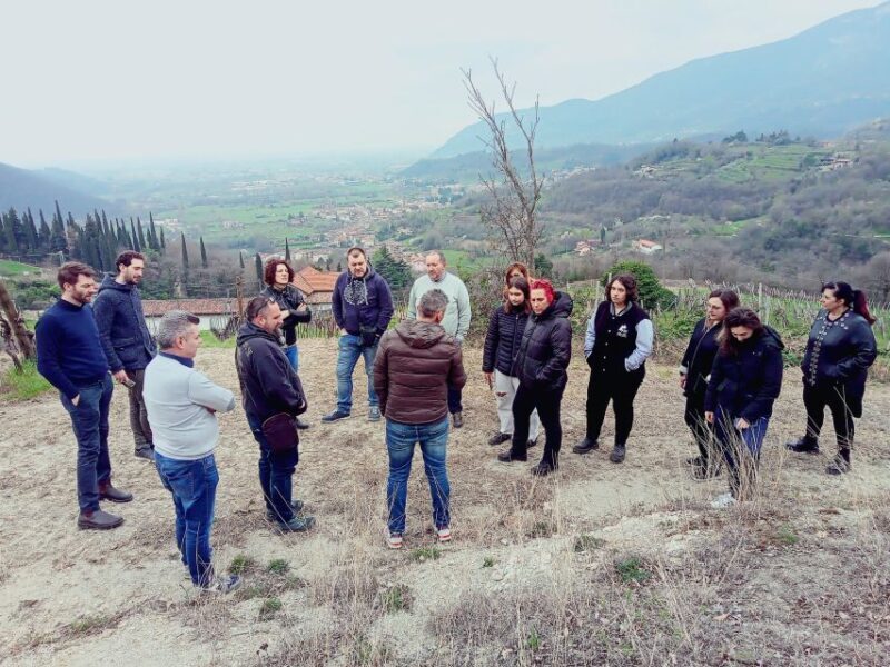 Brescia: day trip to Botticino with wine tasting at Noventa - The Value of This Experience