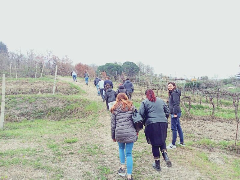 Brescia: day trip to Botticino with wine tasting at Noventa - Practical Details and Tips