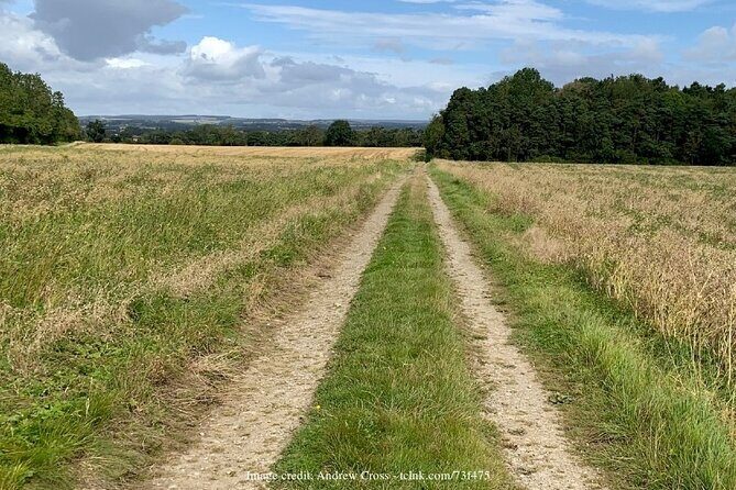 Bridgerton-Themed Castle Howard: Private Day Trip from York - Exploring the Itinerary in Detail
