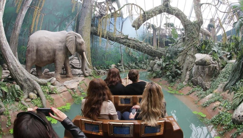 Bridges Cruise with World of Discoveries or Sunset Option - How Does the Cruise Deliver Value?