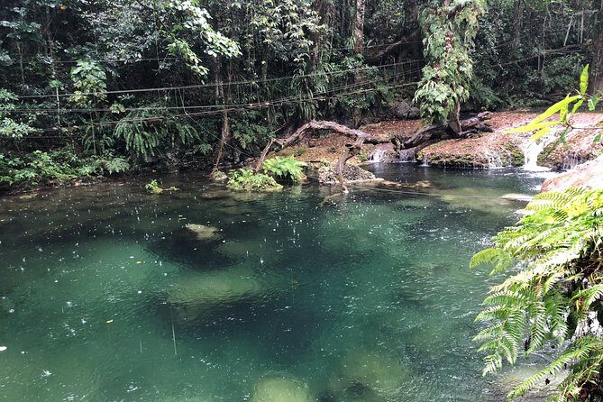 Bridges of Eden with Yumi Tours - Key Points