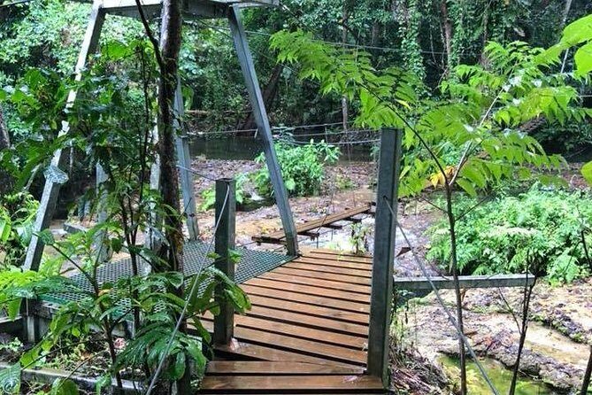 Bridges of Eden with Yumi Tours - Final Thoughts: Is It Worth It?