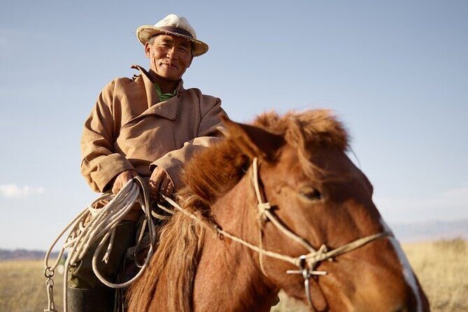 Brief Introduction to Mongol Horse - Authentic Experiences and Insider Insights