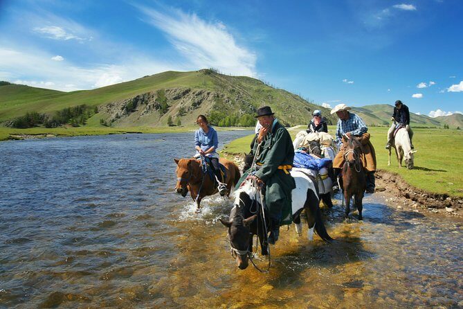 Brief Introduction to Mongol Horse - Who Should Consider This Tour