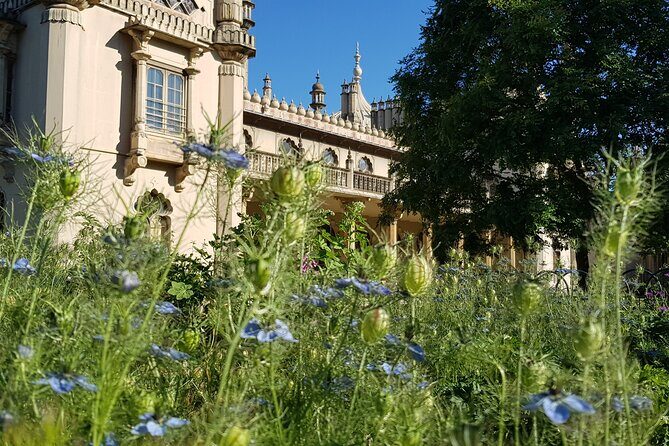 Brighton and White Cliffs private tour from London - Final Thoughts on Value and Suitability