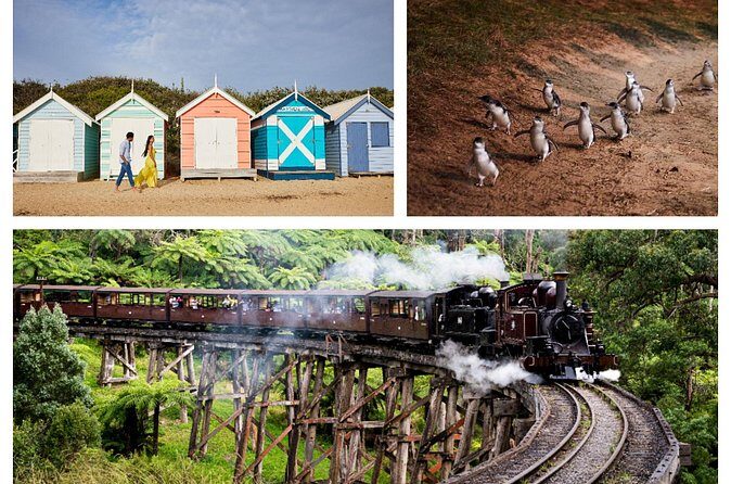 Brighton Bath Boxes & Puffing Billy & Penguin Parade 1-Day Tour - Authentic Experiences and Traveler Feedback