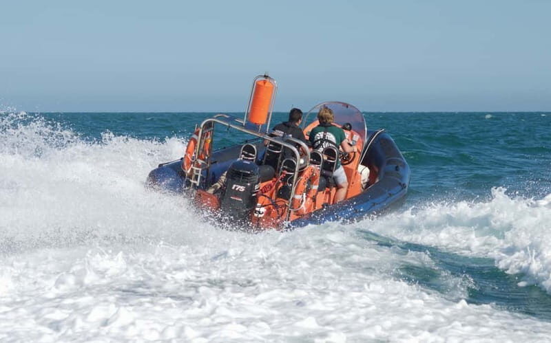 Brighton: Powerboat Ride - Who Will Love This?