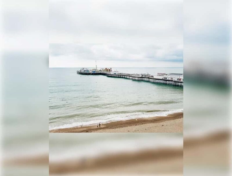 Brighton: Zip Wire Experience Ticket and Transfer - Practical Details and What You Can Expect