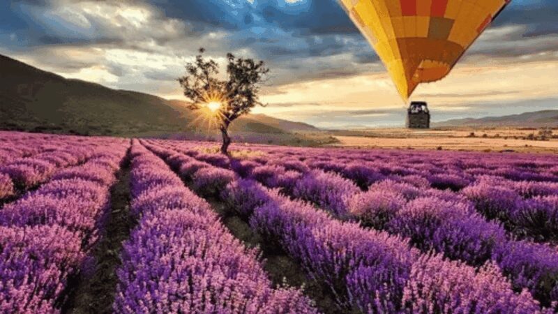 Brihuega: Balloon Flight Above Lavender Fields - Key Points