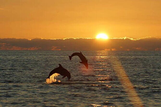 Brijuni Dolphin and Sunset Boat Tour from Pula - FAQ