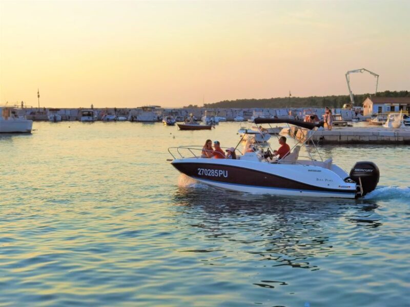 Brijuni Islands: Sunset & Dolphins private boat tour - Why This Tour Is a Great Choice