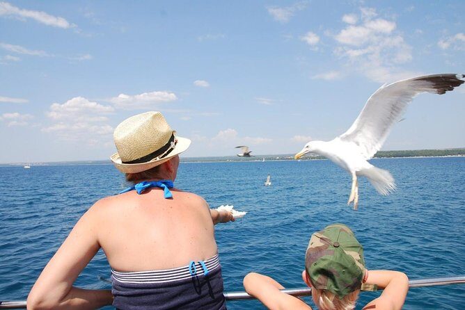 Brijuni National Park Boat Excursion from Pula. With a visit to the island - Who Is This Tour Best For?