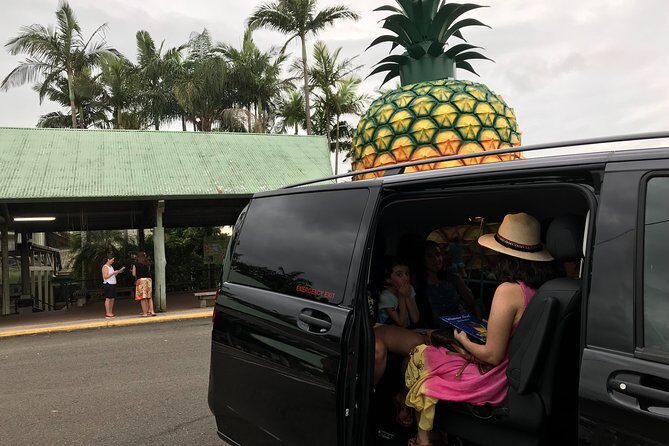 Brisbane Airport to Noosa Private Transfer for 1-5 people - The Vehicle and Comfort Features