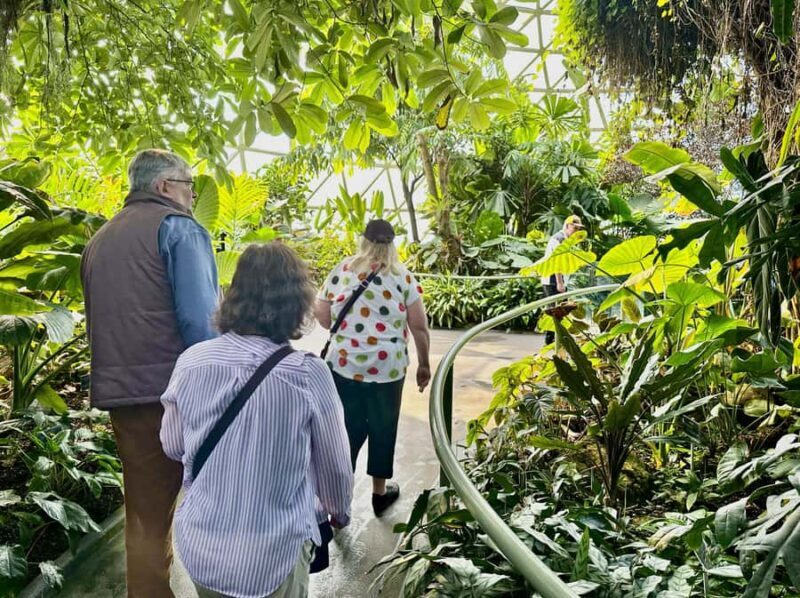 Brisbane Bus Tour: City highlights | Small group | Snack - A Practical Guide to the Brisbane Highlights Tour